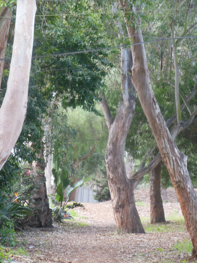 Senior Living Lifestyle Palos Verdes