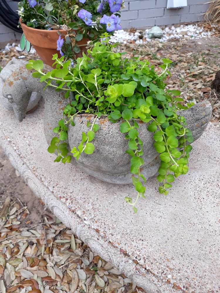 Westview Nursery & Landscape