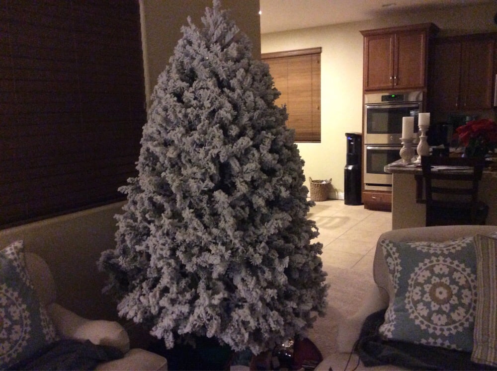 best tree ever thank you to the staff at deerbrooke farms best tree ever thank you to the staff at deerbrooke farms