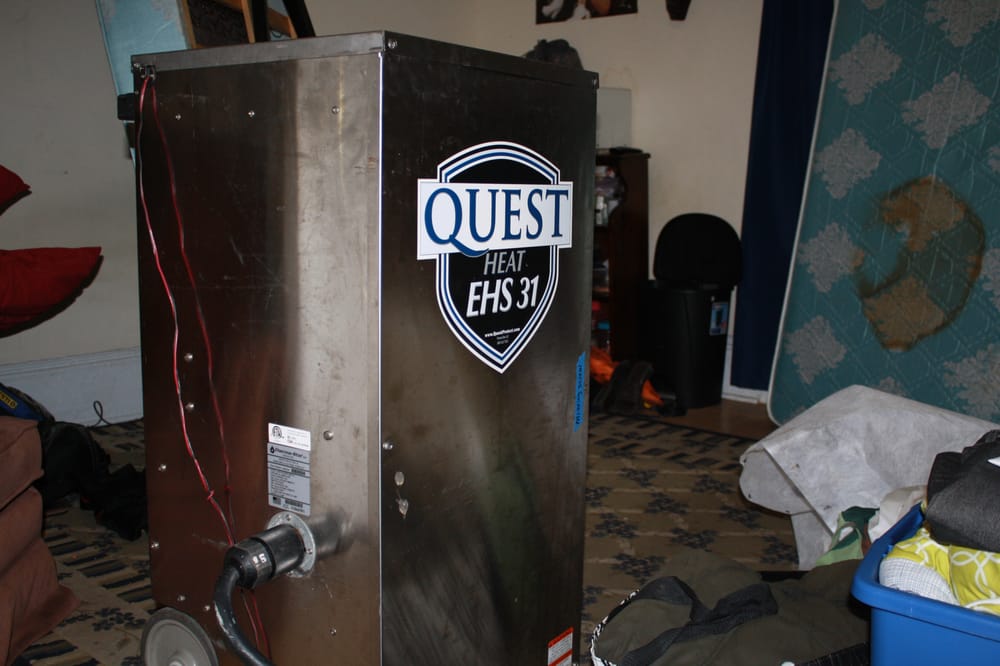 Capital Pest Services