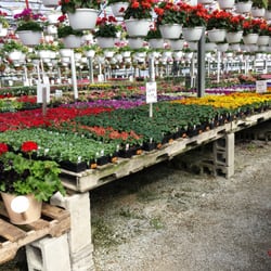 Wells Nursery Greenhouses Nurseries Gardening 3710 W Us Hwy Photo Of Wells Nursery Greenhouses Greenfield In United States