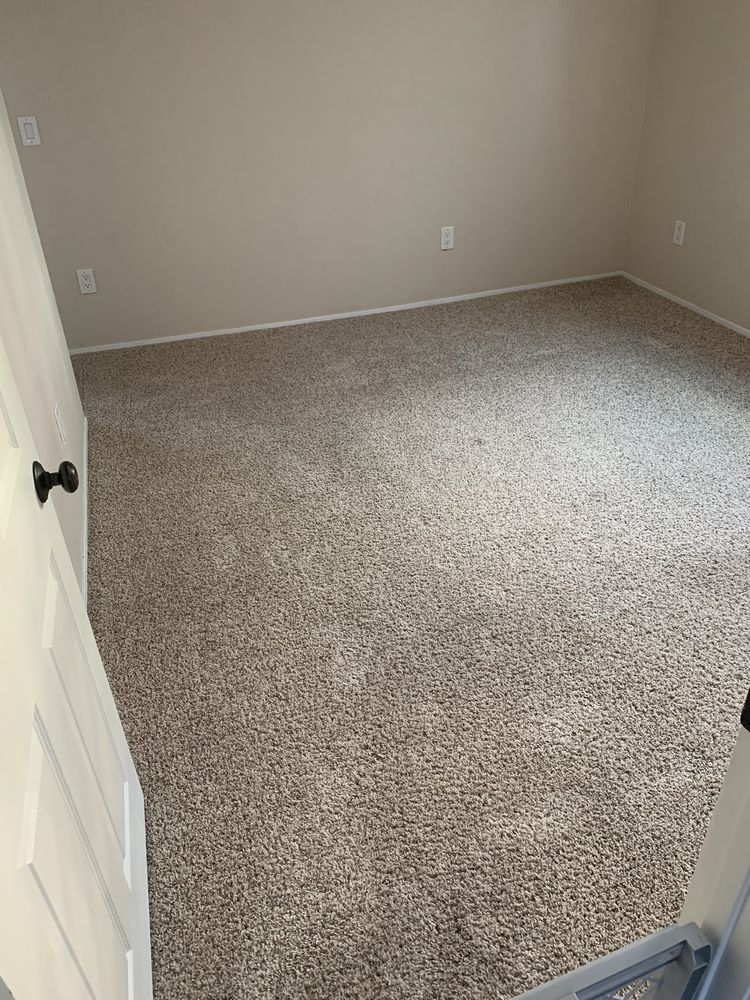 Moonlight Carpet Cleaning