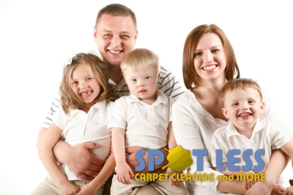 image of business Spotless Carpet