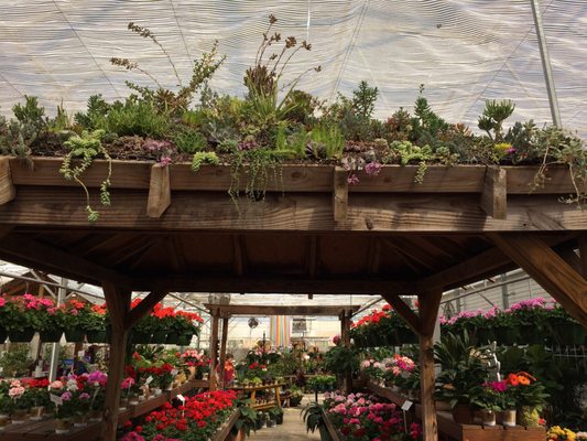 Rountree Plantation 517 Rd Charlotte Nc Greenhouses Mapquest