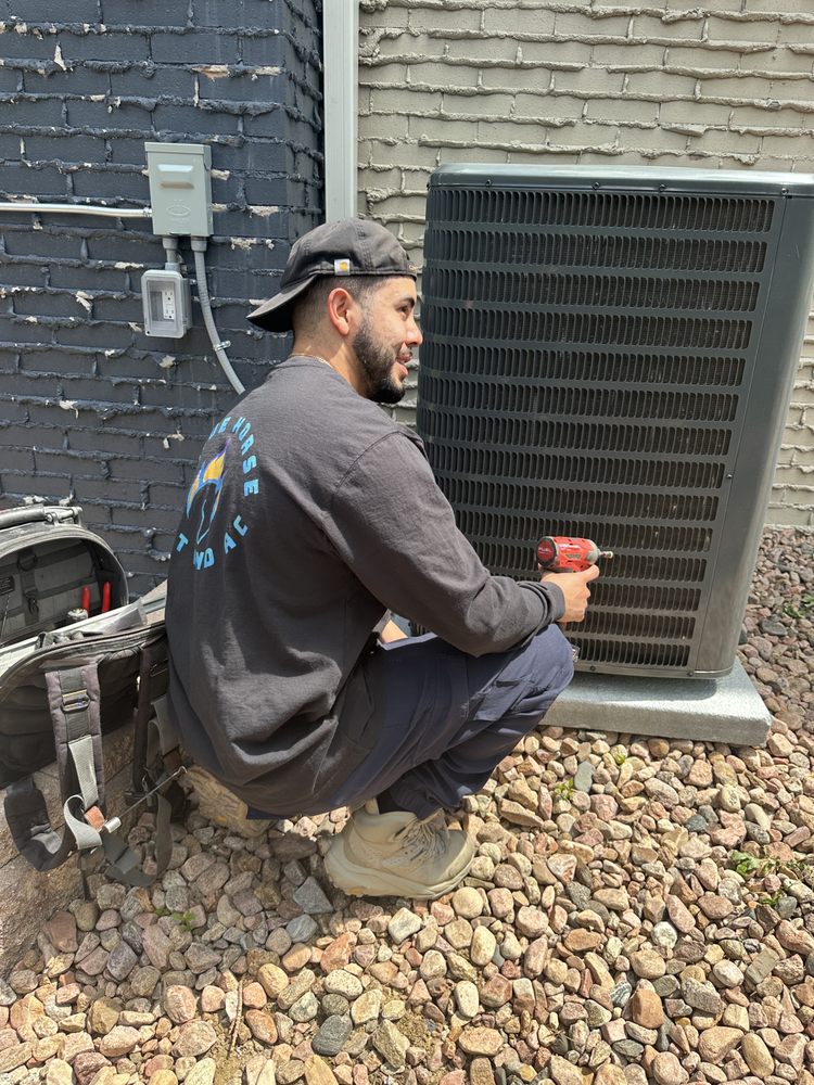 image of business Blue Horse Heat and AC