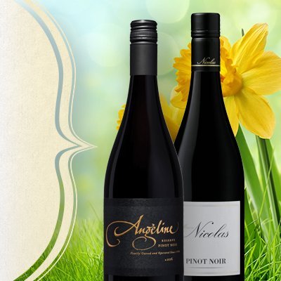 Fine Wine & Good Spirits - Premium Collection