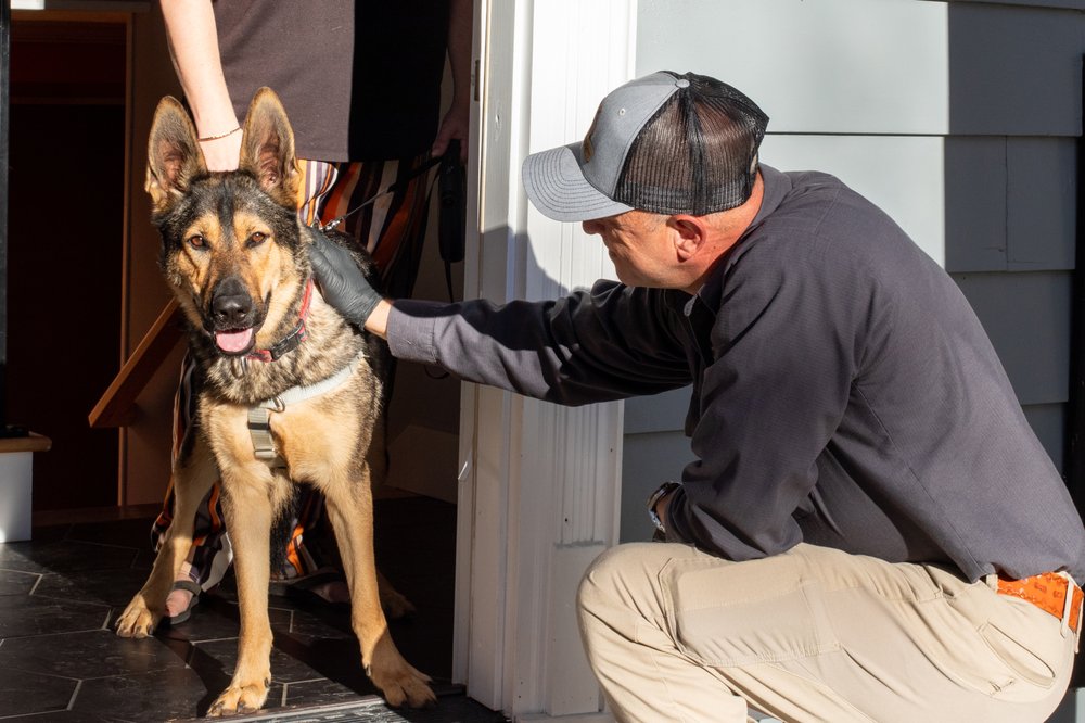 Noble Pest Solutions