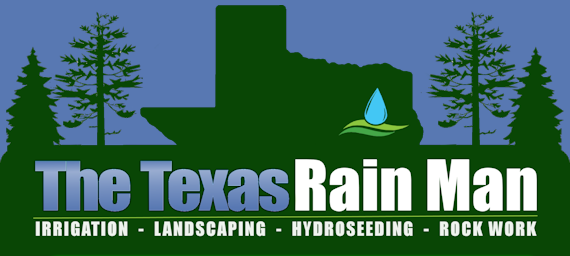 The Texas Rain Man