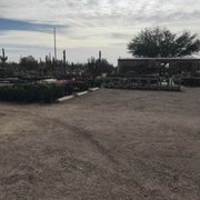 Black Mountain Nursery Nurseries Gardening 4840 E Dynamite Photo Of Black Mountain Nursery Phoenix Az United States