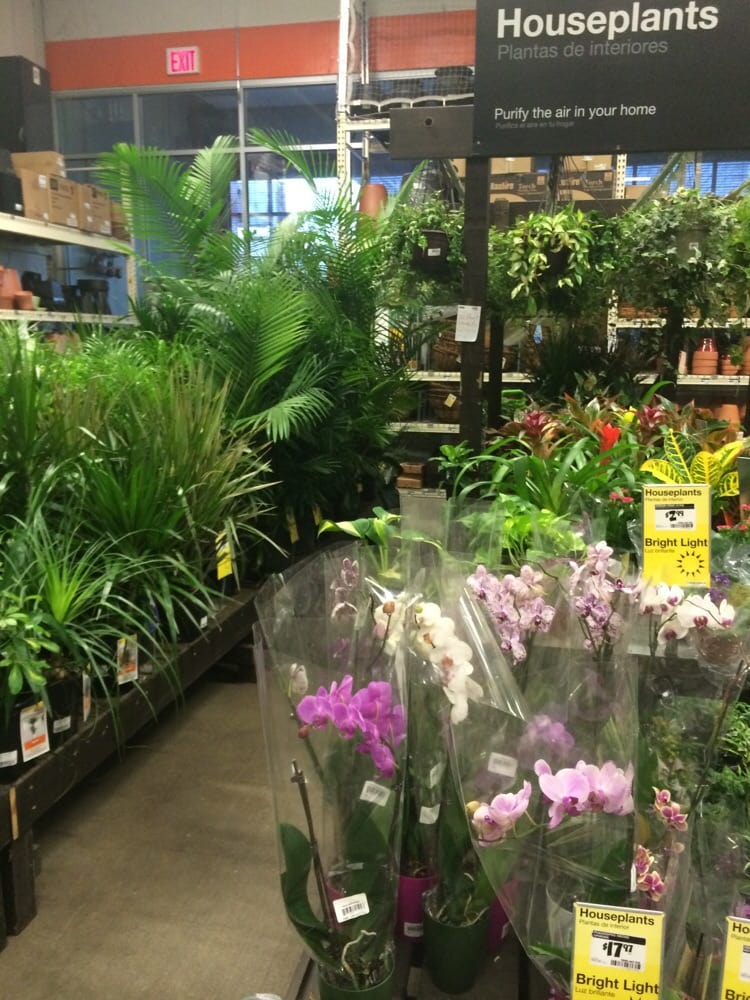 Kingston Jamaica Hardware Store at Elizabeth Dana blog