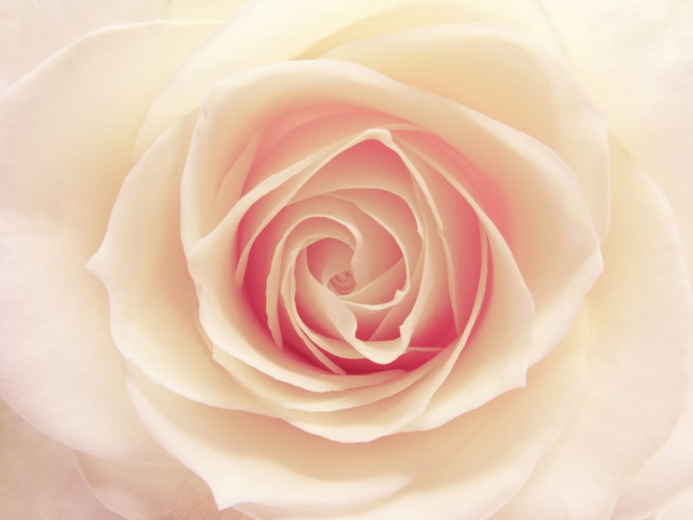 Malibu Massage Therapy - Santa Monica