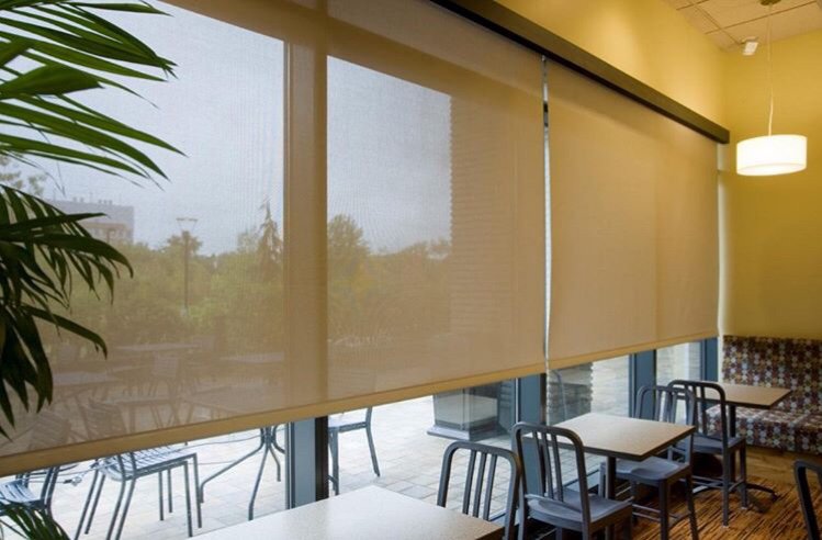budget blinds near me