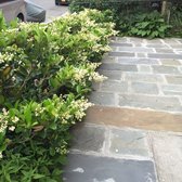 New York Garden Design large terrace garden Photo Of New York Garden Design Landscape Woodside Ny United States New York Garden Design garden design brooklyn new york Photo Of New York Garden Design Landscape Woodside Ny United States