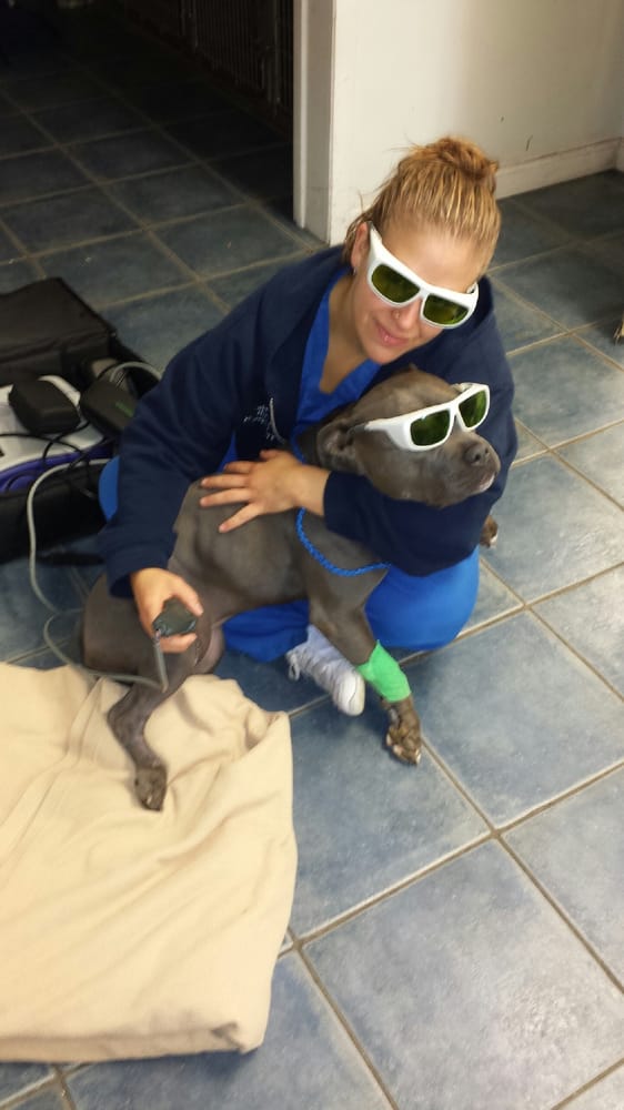 Meadowbrook Animal Hospital 19 Reviews Veterinarians 109 E