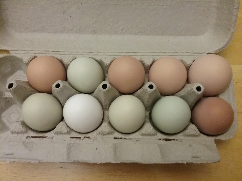 Purpose Driven Family Farm