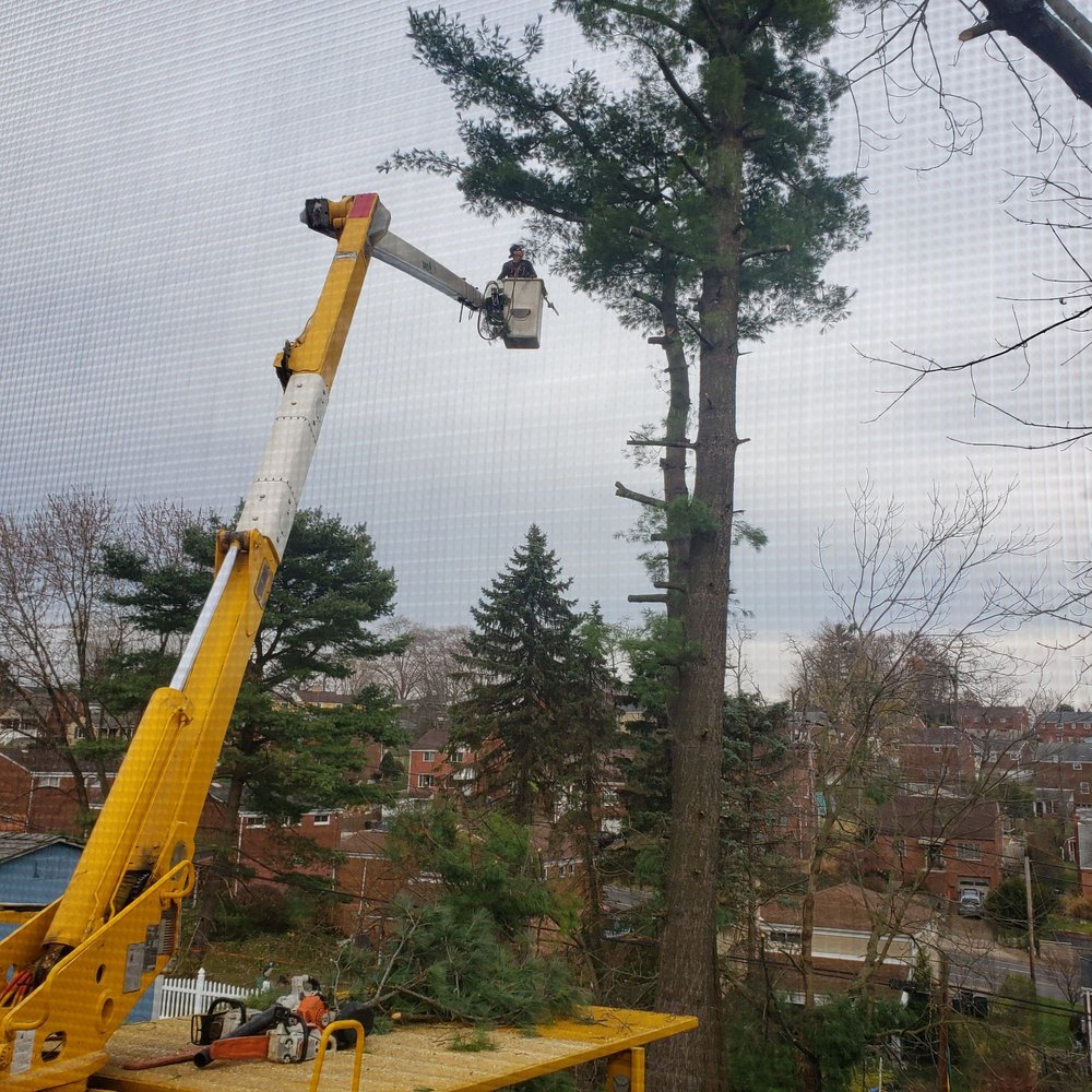 image of business Breide Contracting Services