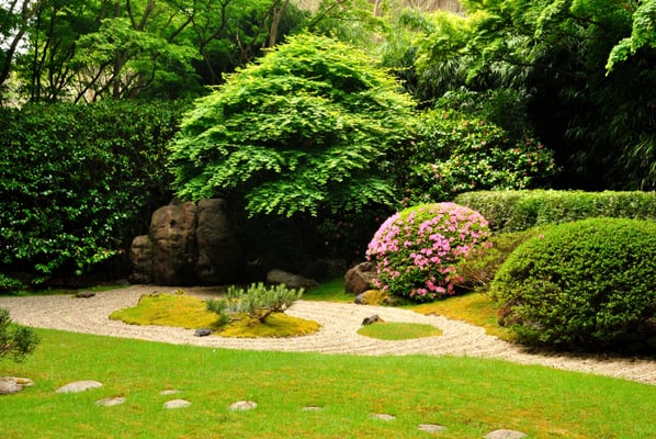 Redwood Landscaping Houston Tx Phone Number Yelp Photo Of Redwood Landscaping Houston Tx United States
