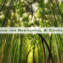 Photo of Eco Cleaning Adelaide - Brahma Lodge South Australia, Australia. organic cleaning service