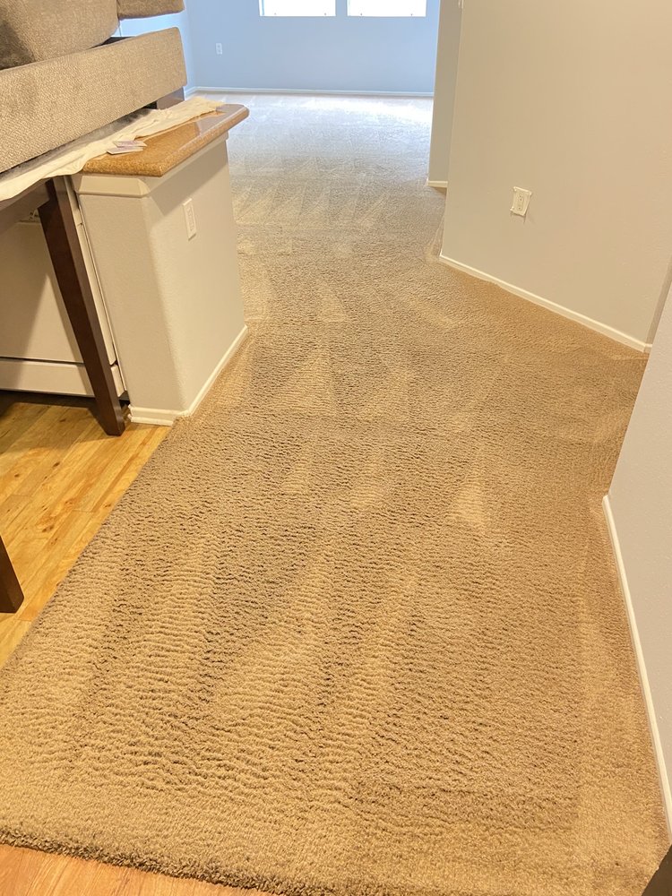 Xllnt Carpet Care
