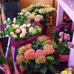 Blumen W. Fritzen - Blumenladen & Florist - Georgenstr. 24 ... Blumen W. Fritzen - Blumenladen & Florist - Georgenstr. 24 ...
