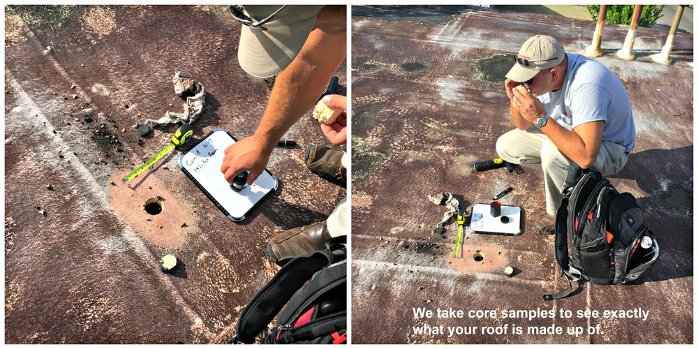 image of business Sunlight Contractors