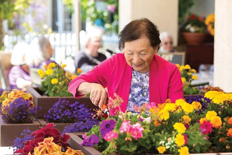 Silverado Beach Cities Memory Care Community