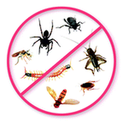 Image result for pest control