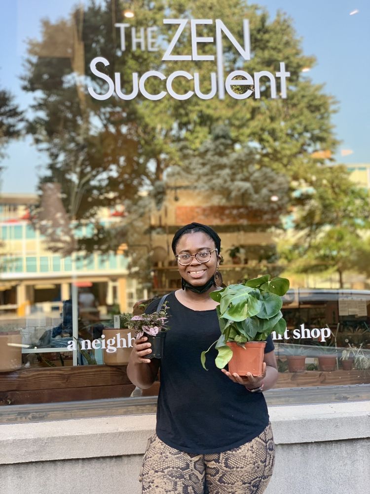 The ZEN Succulent