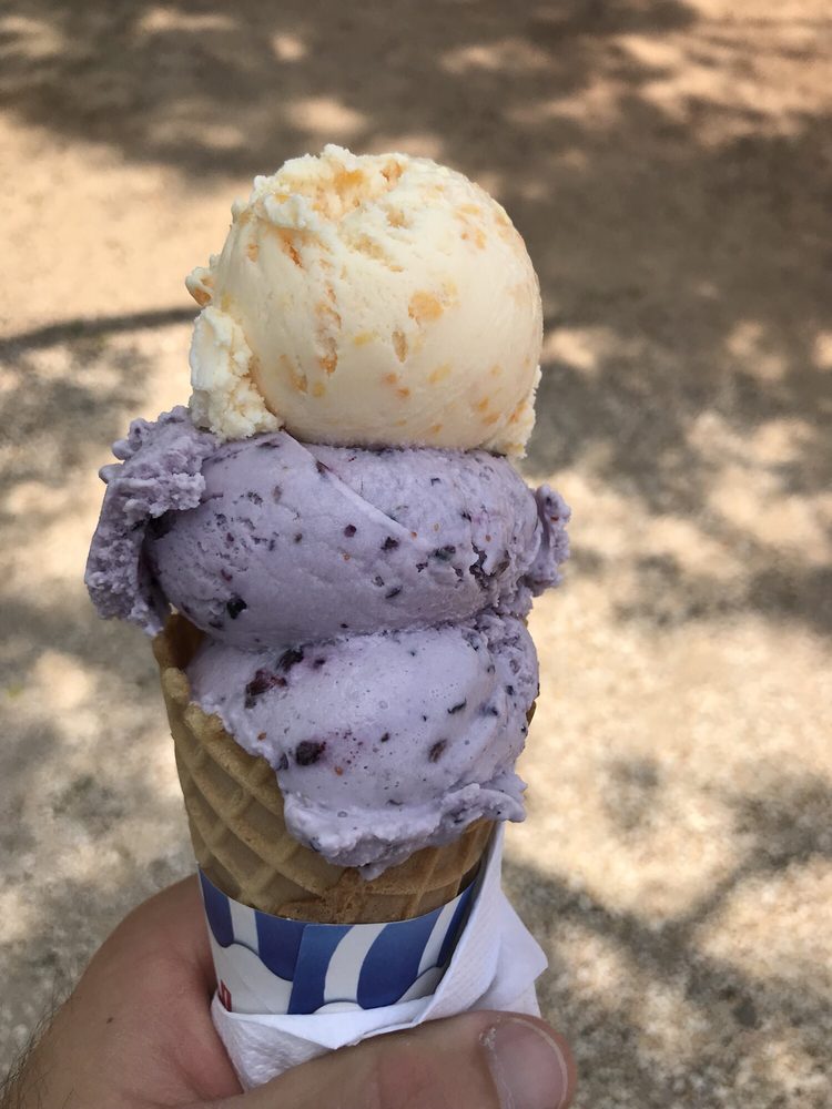 Burton Brooks Orchard Ice Cream & Frozen Yogurt Barney, GA Phone