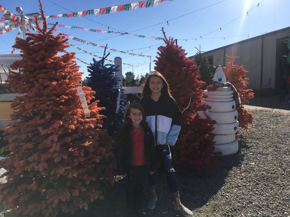 battaglia christmas tree farm christmas decore battaglia christmas tree farm christmas decore