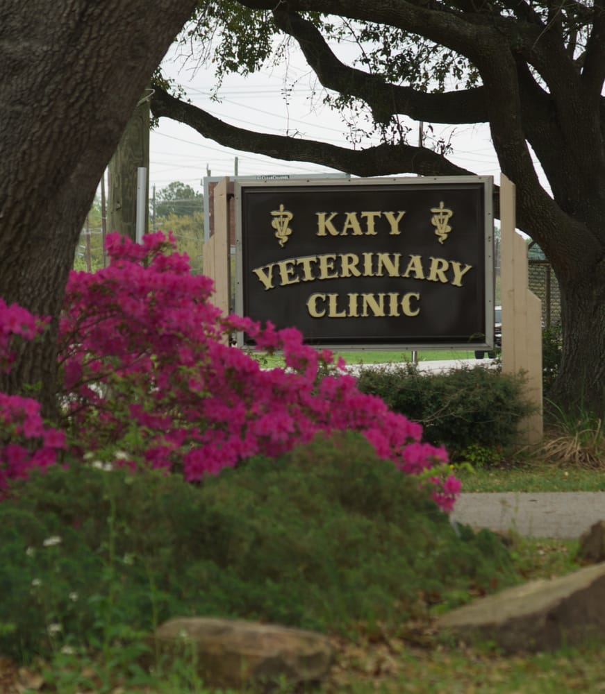 Katy Veterinary Clinic 12 Photos & 15 Reviews Veterinarians 27227
