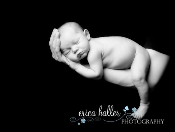 Erica Haller Photography