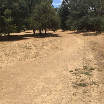 Newhall Dog Park Clayton Ca Newhall Dog Park Clayton Ca