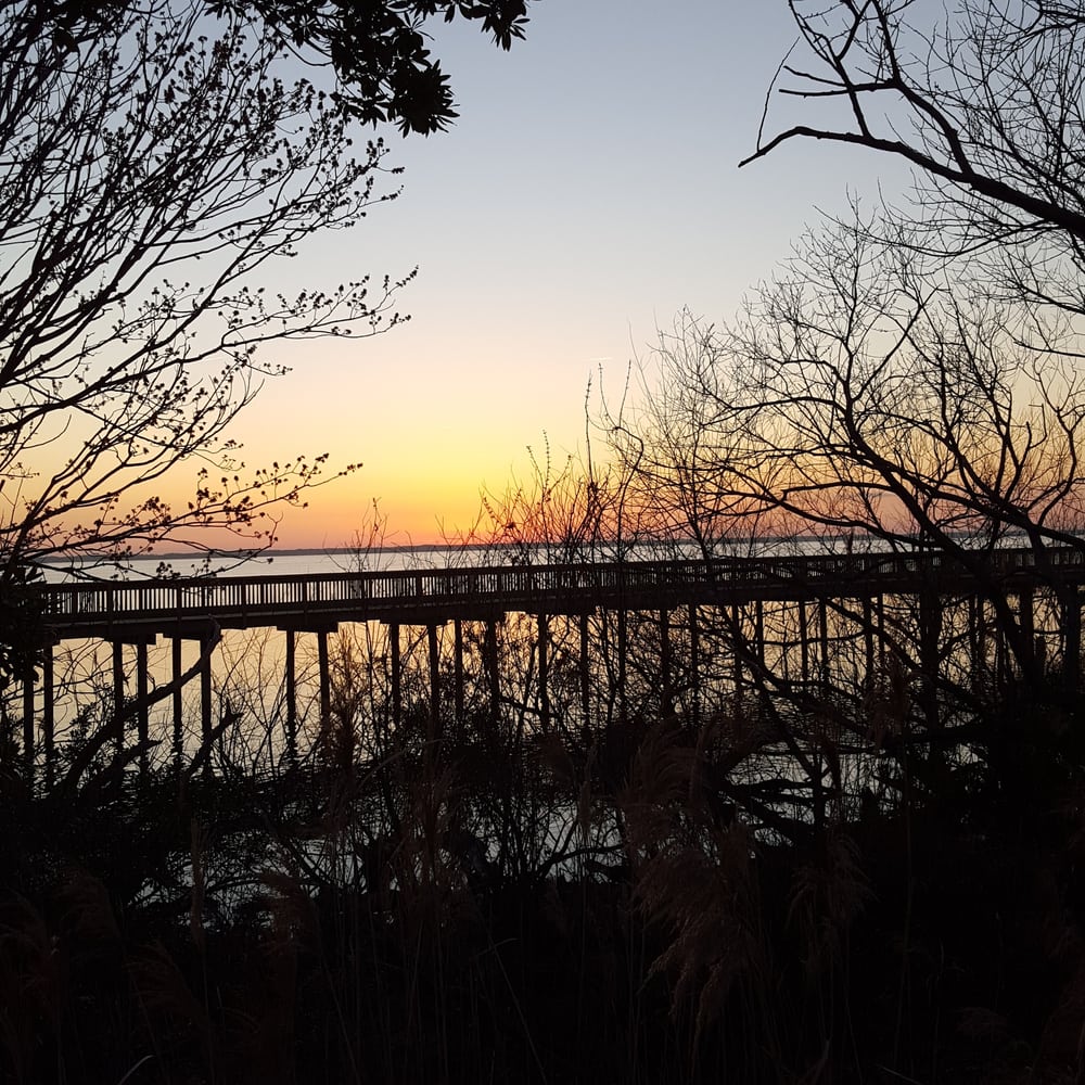 Duck Village Outfitters Duck