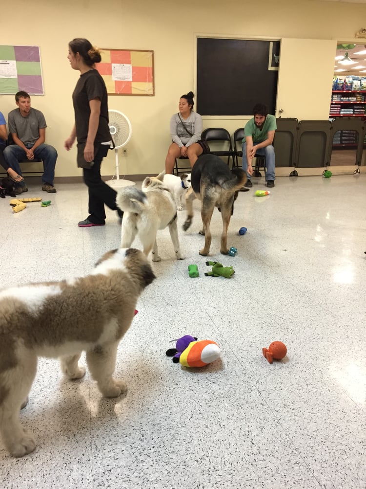 Petco 73 Photos & 182 Reviews Pet Stores 3525 W. Victory Blvd