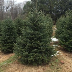 Schmidt S Christmas Tree Farm Trees 1741 Flint