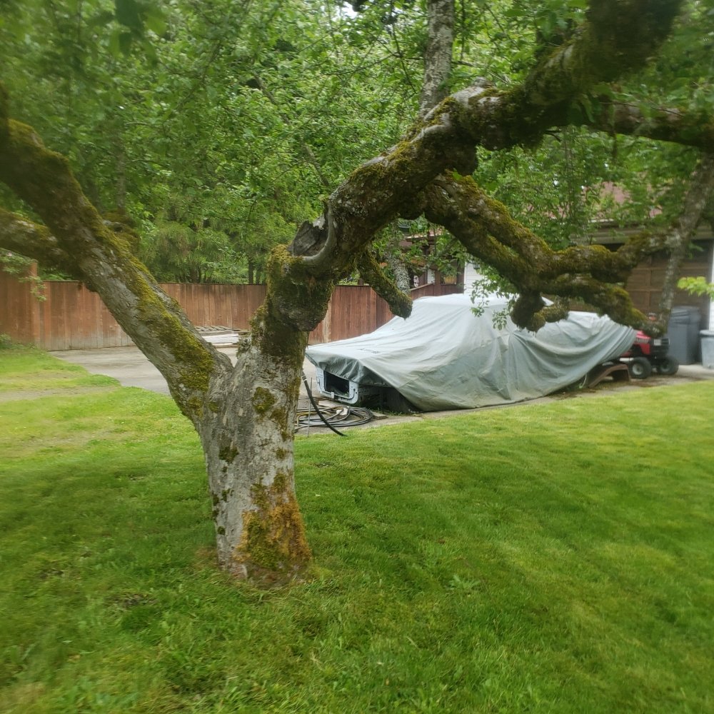 Wild Bunch Edible Landscapes