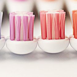 periodontic