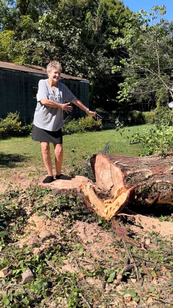 Rowan Tree Care