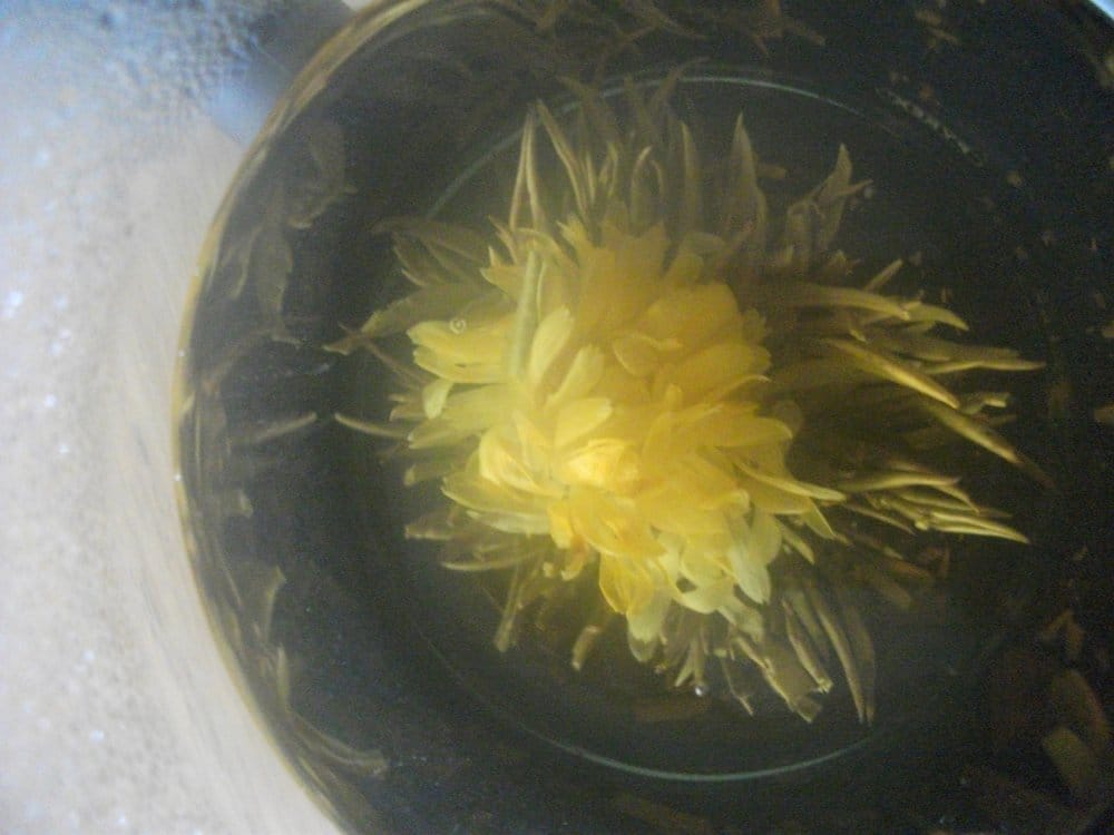 Asiatica