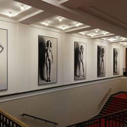 Muzeum fr fotografie/helmut newton foundation 56 Muzeum fr fotografie/helmut newton foundation 55