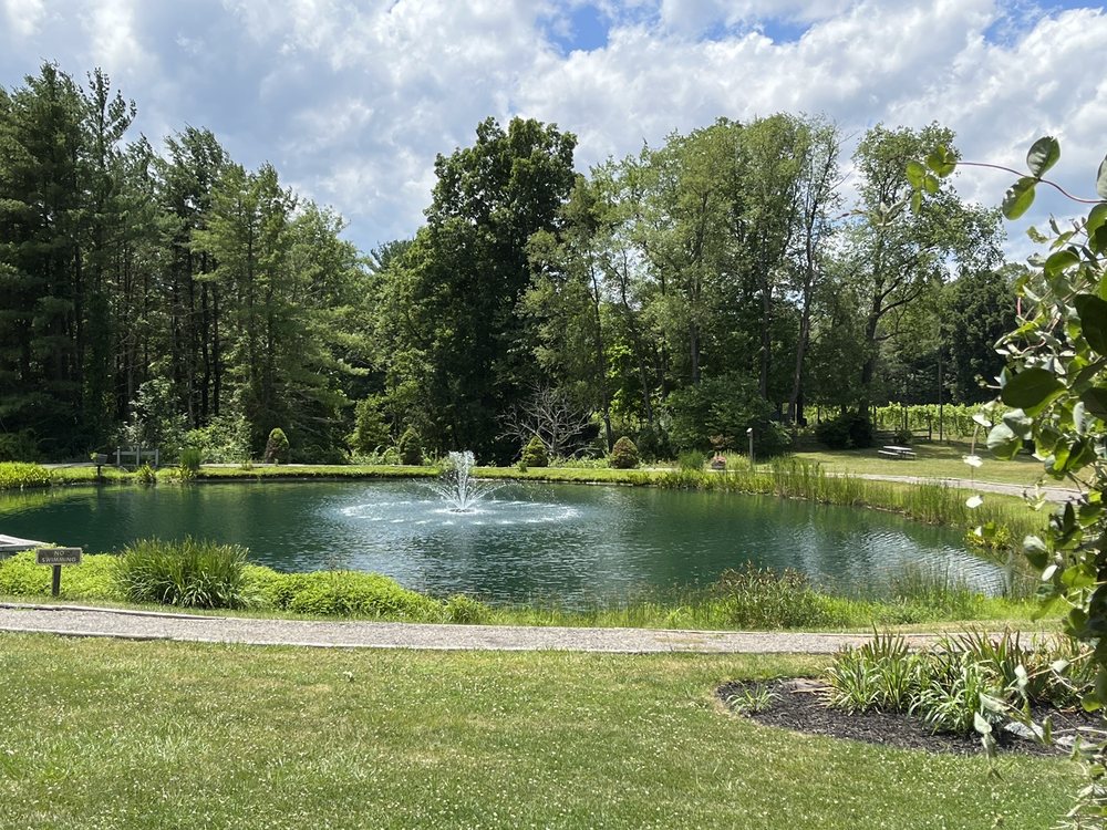Six Mile Creek Vineyard