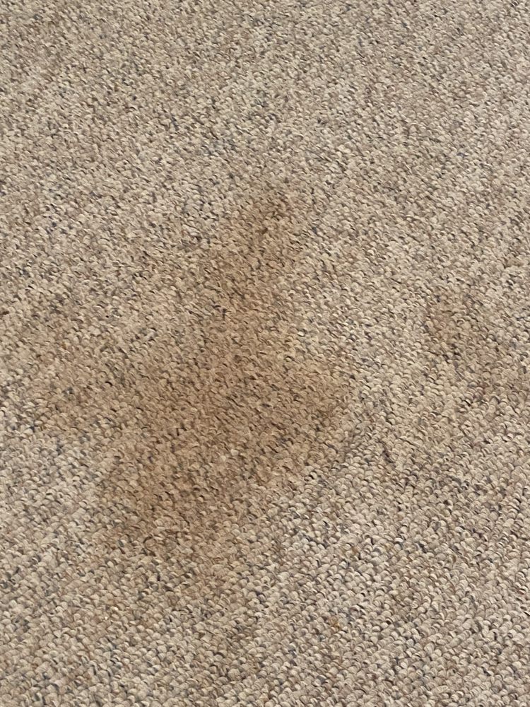Heaven's Best Carpet Cleaning