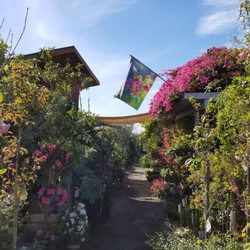 Upland Nursery 121 Photos 63 Reviews Nurseries Gardening Photo Of Upland Nursery Orange Ca United States Goes