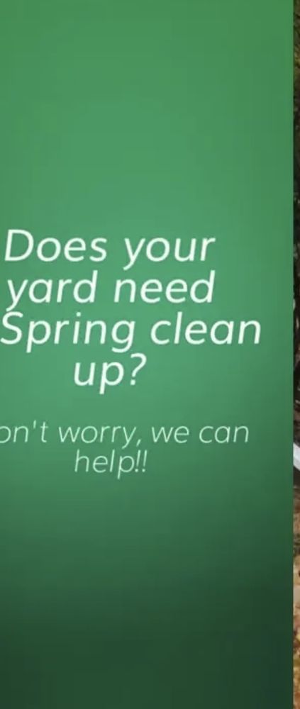 SN landscaping and Tree Services