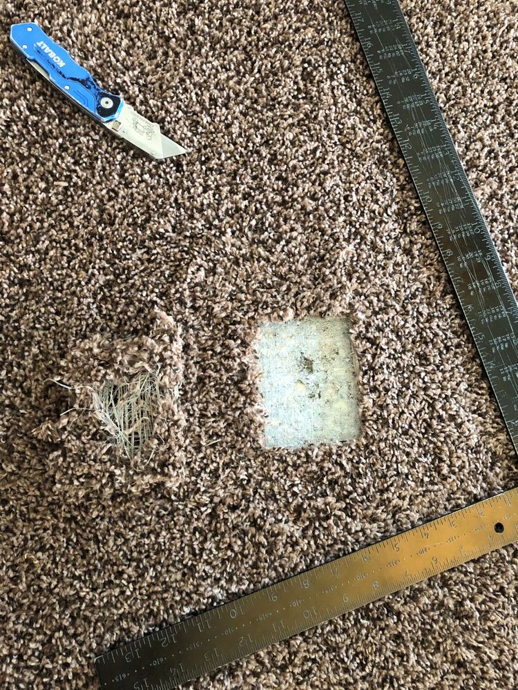 Guarantee System Carpet Cleaning & Dye Company