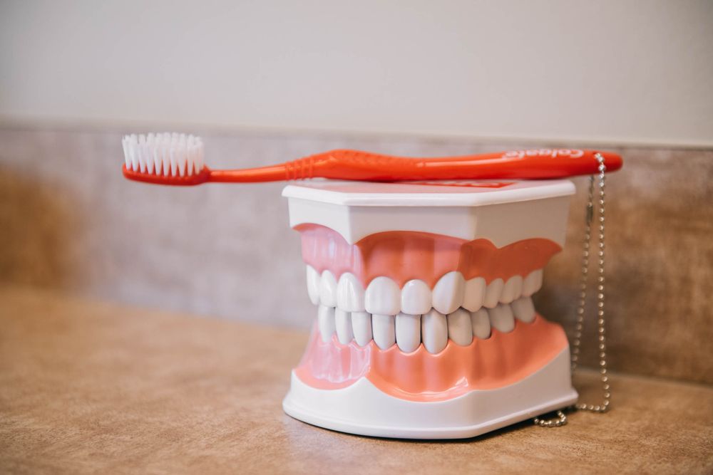 image of business Professional Dental
