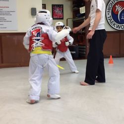 High performance taekwondo bayside
