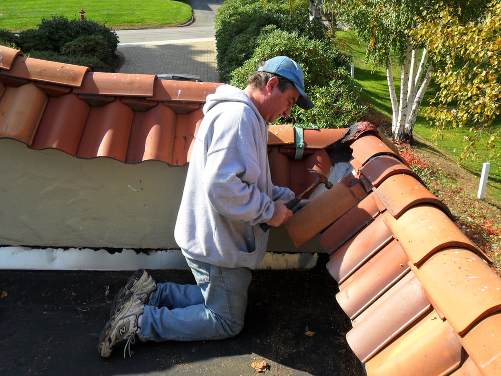 image of business Daniel Fox Roofing Co., Inc.