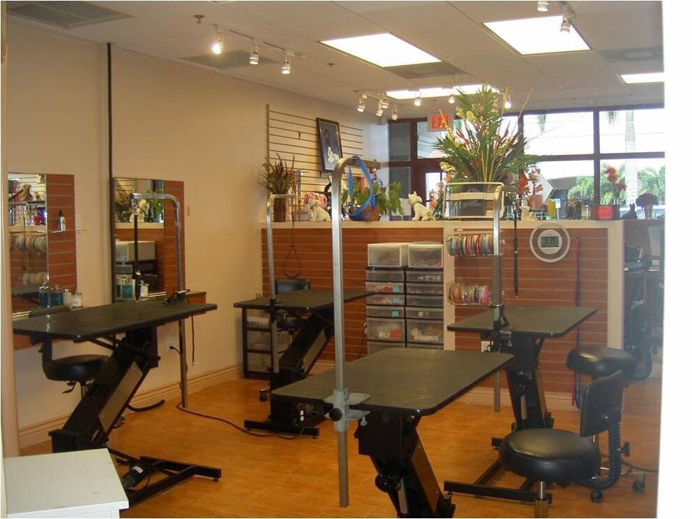 Pets of Perfection 14 Photos Pet Groomers 11048 S Military Trails